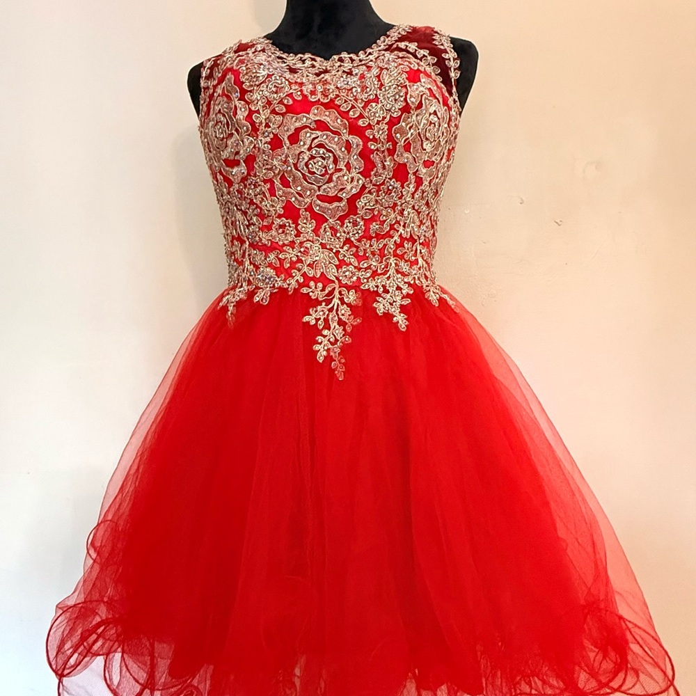 Red and Gold Embroidered Mini Dress
